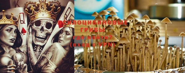мет Елизово