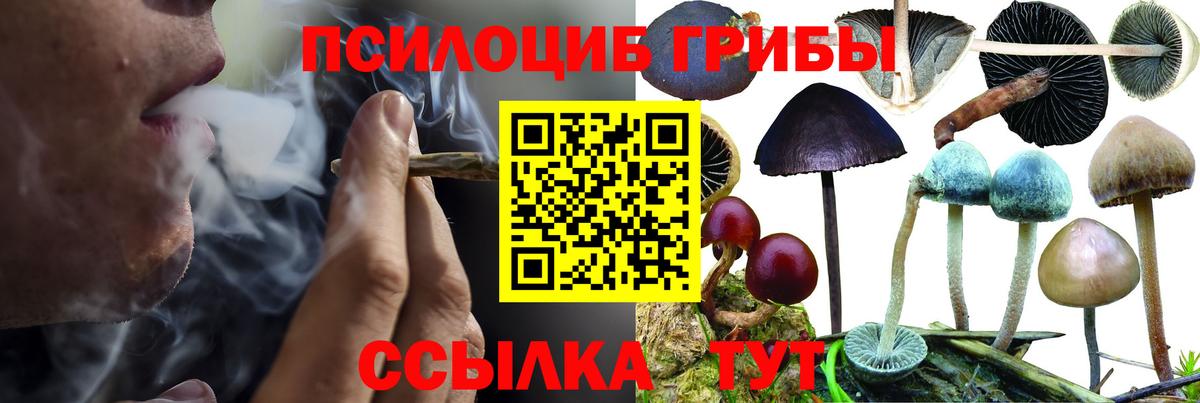 Галлюциногенные грибы мицелий Красный Сулин